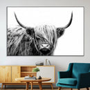 Black White Scottish Highland Cow Cattle Art Print Farmhouse