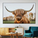 Highland Cow Animal Scottish Cattle Art Print Farmhouse Wall