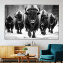 American Bison Art | Buffalo Herd Wall Art Canvas Print, BW