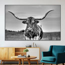 Texas Longhorn Cow Wall Art, Texas Longhorn Canvas, Cattle