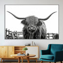 Longhorn Canvas Print, Bighorn Cow Wall Art Canvas Print