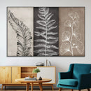 Minimalist Botanical Wall Art Canvas Print, Framed and Ready