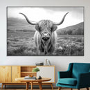 Black White Scottish Highland Cow Canvas Farm Wall Art