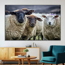 Charming Sheep Portrait Wall Art – Trio of Woolly Companions by MyGreatCanvas | Canvas Wall Art Prints | Photo Prints & Wall Decor