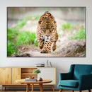 Leopard on the Prowl - Stunning Large Framed Leopard Wall