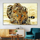 Blue-Eyed Leopard Canvas Wall Art - Framed Animal Print