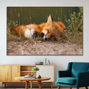 Sleeping Fox Wall Art Canvas Print, Farmhouse Wall Decor and
