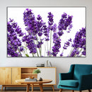 Lavender Flower Wall Art Canvas Print by MyGreatCanvas | Canvas Wall Art Prints | Photo Prints & Wall Decor