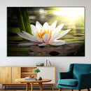 Lotus Flower Wall Art Canvas Print, Water Lily Large Wall