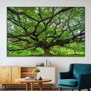 Ancient Tree Wall Art Canvas Print, Framed Sprawling by MyGreatCanvas | Canvas Wall Art Prints | Photo Prints & Wall Decor