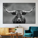 Texas Longhorn Wall Art Canvas Print – Framed Western Bull