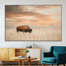 MyCanvas -