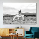White Horse Wall Art Canvas Print – Framed Woman Rider