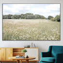 Charming Daisy Field Wall Art Canvas Print – Framed Pastel