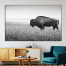Bison Wall Art Canvas Print – Framed Rustic Wildlife Scene by MyGreatCanvas | Canvas Wall Art Prints | Photo Prints & Wall Decor