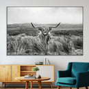 Monochrome Highland Cow Wall Art Canvas Print – Framed by MyGreatCanvas | Canvas Wall Art Prints | Photo Prints & Wall Decor