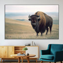 Bison Wall Art Canvas Print – Framed Buffalo American Bison
