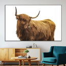 Highland Cow Wall Art Canvas Print – Framed Farmhouse Rustic by MyGreatCanvas | Canvas Wall Art Prints | Photo Prints & Wall Decor