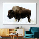 Bison Wall Art Canvas Print – Framed Western Wildlife by MyGreatCanvas | Canvas Wall Art Prints | Photo Prints & Wall Decor