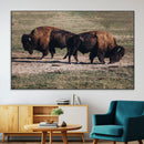 Bison Wall Art Canvas Print – Framed Western Wildlife Modern