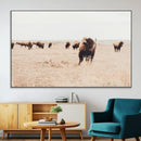 Bison Herd Wall Art Canvas Print – Framed Western Prairie by MyGreatCanvas | Canvas Wall Art Prints | Photo Prints & Wall Decor