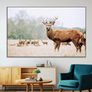 Rustic Deer Wall Art Canvas Print – Forest Woodland Stag