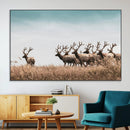 Elk Herd Wall Art Canvas Print – Framed Wildlife Photography