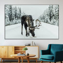 Moose Snow Wall Art Canvas Print – Framed Winter Wildlife