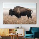 American Bison Wall Art Canvas Print – Majestic Buffalo