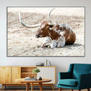 Majestic Longhorn Wall Art Canvas Print – Resting on Sunlit by MyGreatCanvas | Canvas Wall Art Prints | Photo Prints & Wall Decor