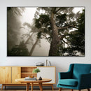 Misty Forest Tall Trees Foggy Atmosphere Nature Serenity by MyGreatCanvas | Canvas Wall Art Prints | Photo Prints & Wall Decor