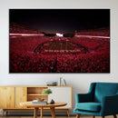 Dooley Stadium Wall Art, Sports Arena Canvas Print, Dooley by MyGreatCanvas | Canvas Wall Art Prints | Photo Prints & Wall Decor