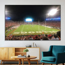 Dooley Stadium Wall Art, Sports Arena Panoramic Canvas by MyGreatCanvas | Canvas Wall Art Prints | Photo Prints & Wall Decor