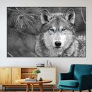 Wild Wolf Blue Eye Wall Art Canvas Print