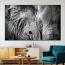 Wild Old Elephant Wall Art Canvas Print