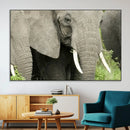 Wild Elephant Wall Art Canvas Print by MyGreatCanvas | Canvas Wall Art Prints | Photo Prints & Wall Decor