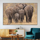 Wild Elephant Wall Art Canvas Print by MyGreatCanvas | Canvas Wall Art Prints | Photo Prints & Wall Decor