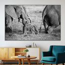 Wild Elephant Wall Art Canvas Print by MyGreatCanvas | Canvas Wall Art Prints | Photo Prints & Wall Decor