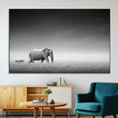 Elephand and Zebra Wall Art Canvas Print, Modern Artwork