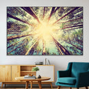 Tree and Sunshine Canvas Print
