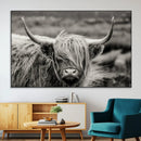Cow Focus Canvas Wall Art Print by MyGreatCanvas | Canvas Wall Art Prints | Photo Prints & Wall Decor