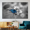 Blue Butterfly Black and White Canvas Wall Art by MyGreatCanvas | Canvas Wall Art Prints | Photo Prints & Wall Decor
