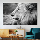 African Lion Wall Art Canvas Print – Majestic Wildlife