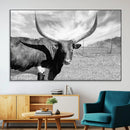 Cattle Wall Art Longhorn Cow Canvas Print