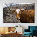 Texas Longhorn Canvas Wall Art - Longhorn Steer Canvas Wall