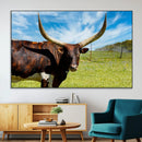 Longhorn and Cow Wall Art, Country Cow Wall Decor Canvas by MyGreatCanvas | Canvas Wall Art Prints | Photo Prints & Wall Decor