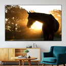 Horse at Sunset Wall Art Animal Canvas Print