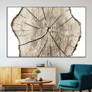Abstract Wood Tree Ring Wall Art - Ready to Hang Minimalist