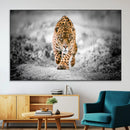 Jaguar Wall Art Canvas Print - Majestic Big Cat in Focused by MyGreatCanvas | Canvas Wall Art Prints | Photo Prints & Wall Decor