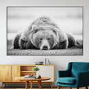 Resting Grizzly Bear Wall Art Canvas Print – Majestic Lazy by MyGreatCanvas | Canvas Wall Art Prints | Photo Prints & Wall Decor